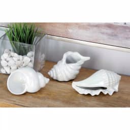 LITTON LANE Coastal Living White Ceramic Seashell Decor Set of 3 - Pearlescent Porcelain Sculptures thumbnail 1