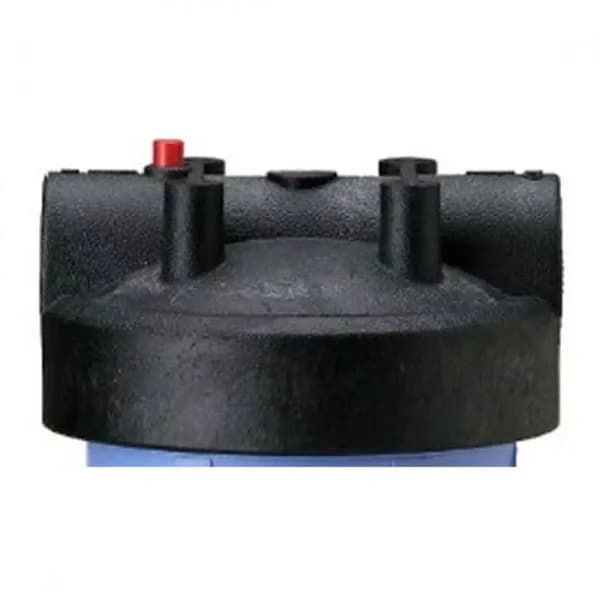 Pentek 154166 Big Blue Filter Housing Cap with Pressure Relief Button - Black