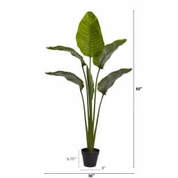 Nearly Natural 63 in. UV Resistant Indoor/Outdoor Artificial Travelers Palm Tree with Black Pot thumbnail 3