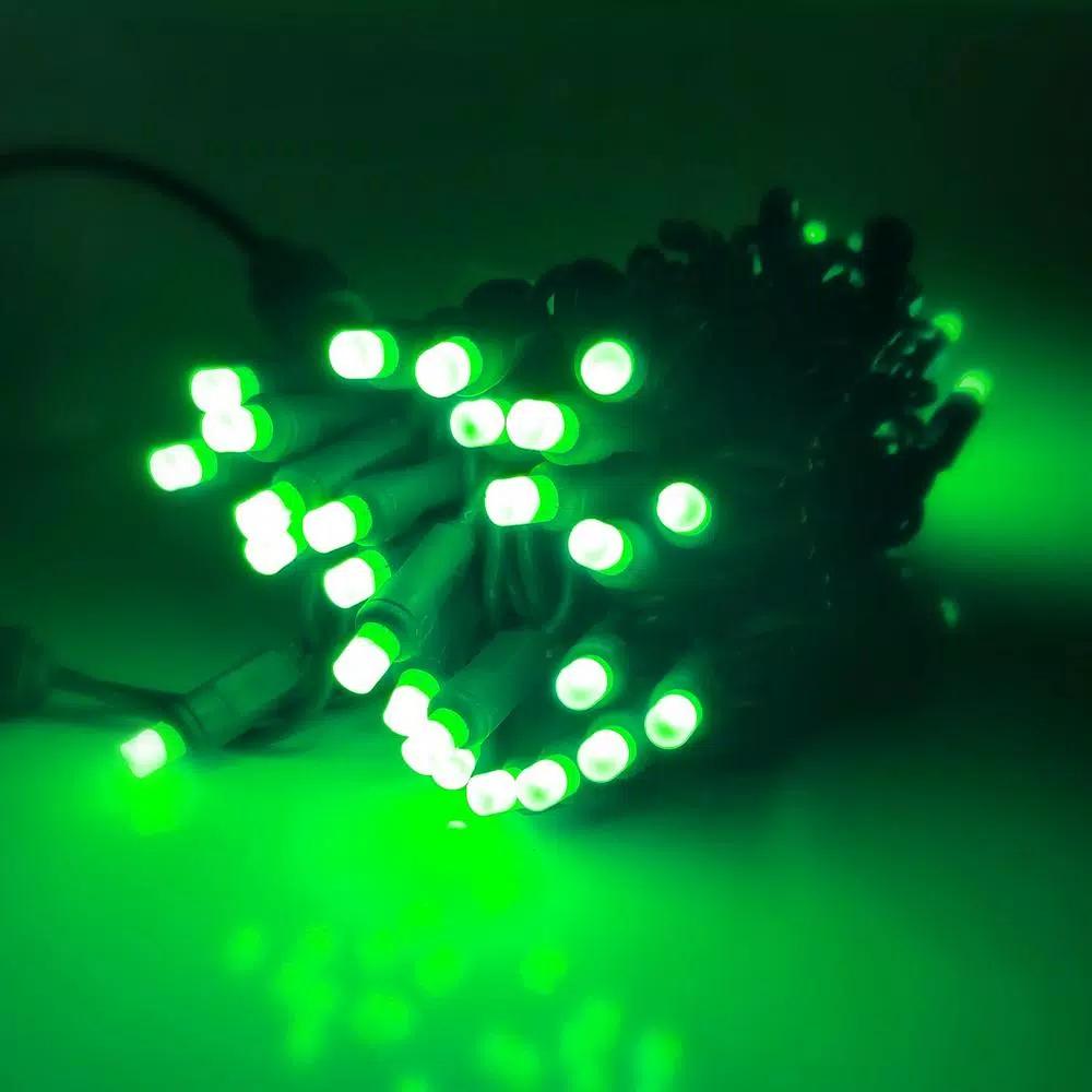 HOLIDYNAMICS HOLIDAY LIGHTING SOLUTIONS 50-Light RGB LED String Lights, 5 mm Frosted Bulbs, 4 in. Spacing, Green Cord