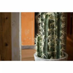 Nearly Natural Decorative Tall Cactus Collection with Modern Cement Planter and White River Rocks thumbnail 3