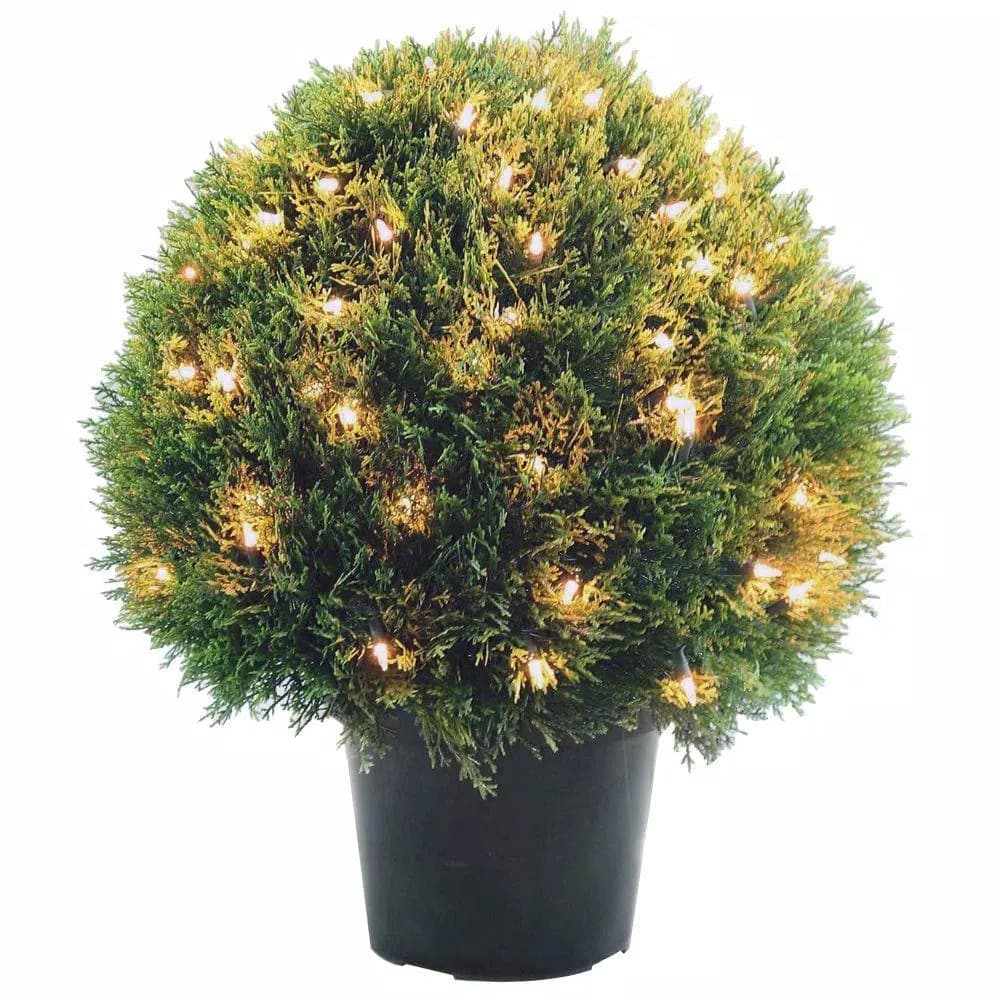 National Tree Company 24 in. Artificial Cedar Pine Topiary with Round Green Growers Pot and 100 Clear Lights