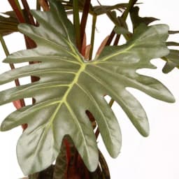 National Tree Company 21 in. Artificial Philodendron Plant in White Ceramic Pot thumbnail 3
