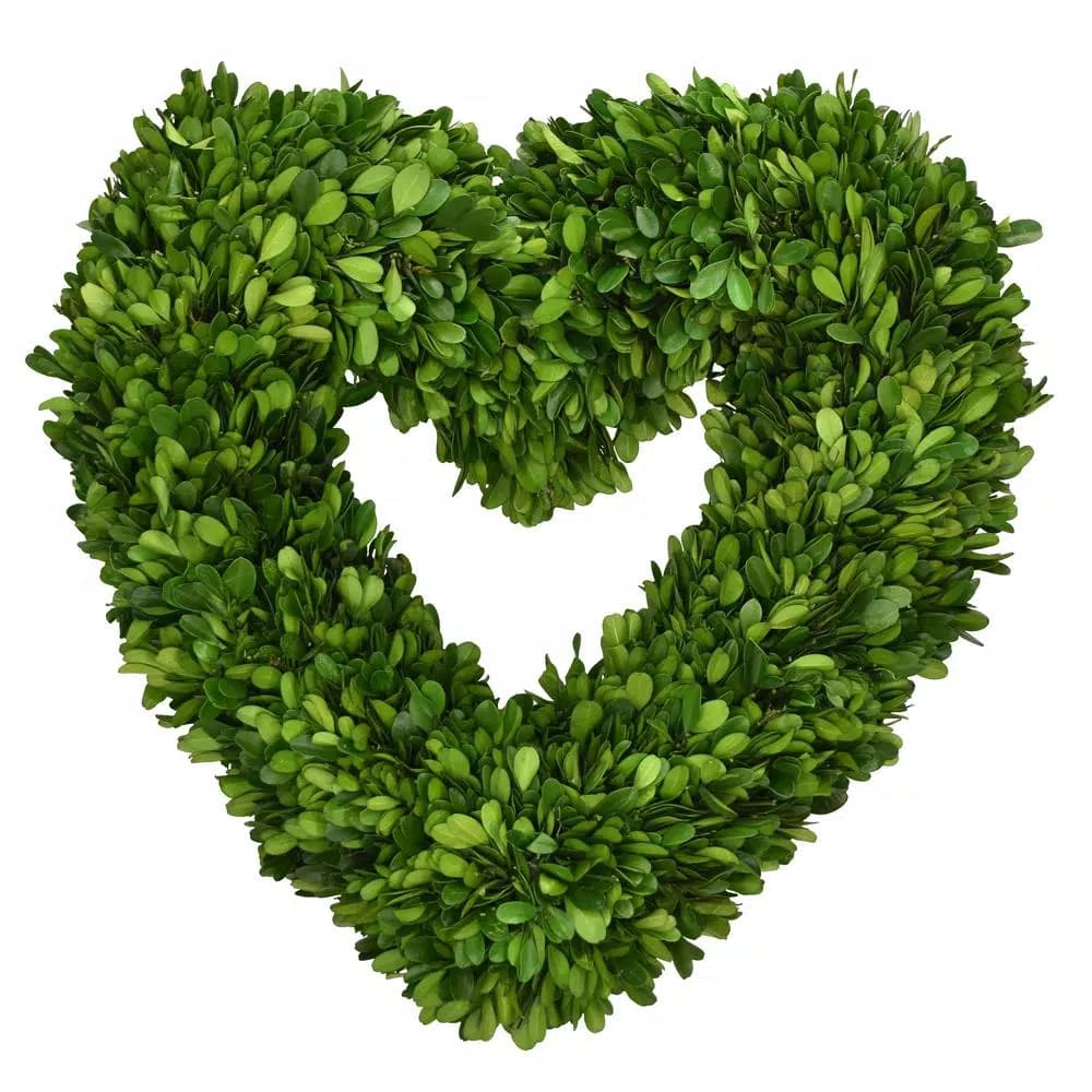 Unbranded 16 in. Preserved Boxwood Heart Wreath - Green Decorative Wreath