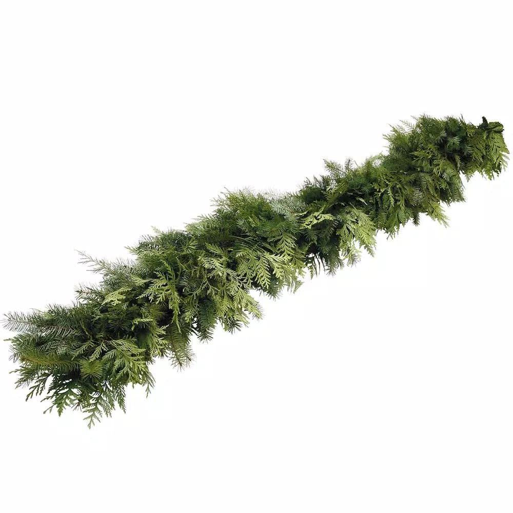VAN ZYVERDEN 25 ft. Fresh Cut Pacific Northwest Douglas Fir and Western Red Cedar Mix Coil Garland