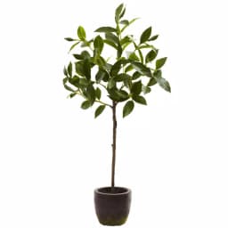 Nearly Natural 2.41 ft. Artificial Topiary with Ornate Clay Planter, Green thumbnail 1