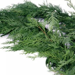 VAN ZYVERDEN 15 ft. Fresh Cut Pacific Northwest Western Red Cedar Coil Garland thumbnail 3