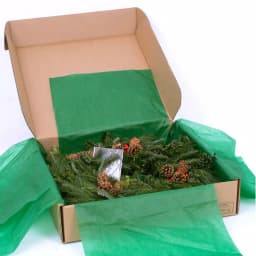 VAN ZYVERDEN 24 in. Live Fresh Cut Blue Ridge Mountain Mixed Christmas Wreath with Cones and Berries thumbnail 4