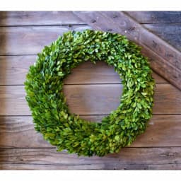 Unbranded 20 in. Preserved Boxwood Country Manor Round Wreath, Green thumbnail 1