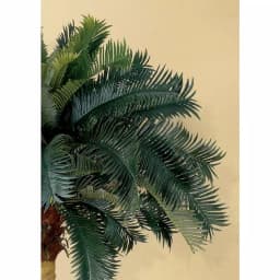 Nearly Natural 6 ft. Sago Palm Silk Tree with Wicker Basket thumbnail 2