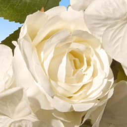 National Tree Company 16 in. White Rose Wreath with Green Leaves - Artificial Floral Wreath for Weddings and Special Occasions thumbnail 3