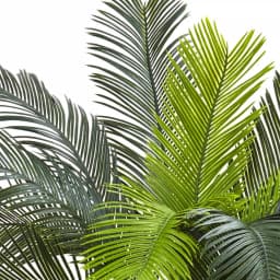 Nearly Natural 3 ft. Artificial Cycas Tree, UV Resistant Indoor/Outdoor Silk Plant with Planter thumbnail 2