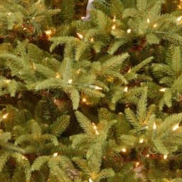 National Tree Company 6 ft. Frasier Grande Artificial Christmas Tree with 800 Dual Color LED Lights thumbnail 4