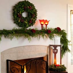 VAN ZYVERDEN 15 ft. Fresh Cut Pacific Northwest Western Red Cedar Coil Garland thumbnail 2