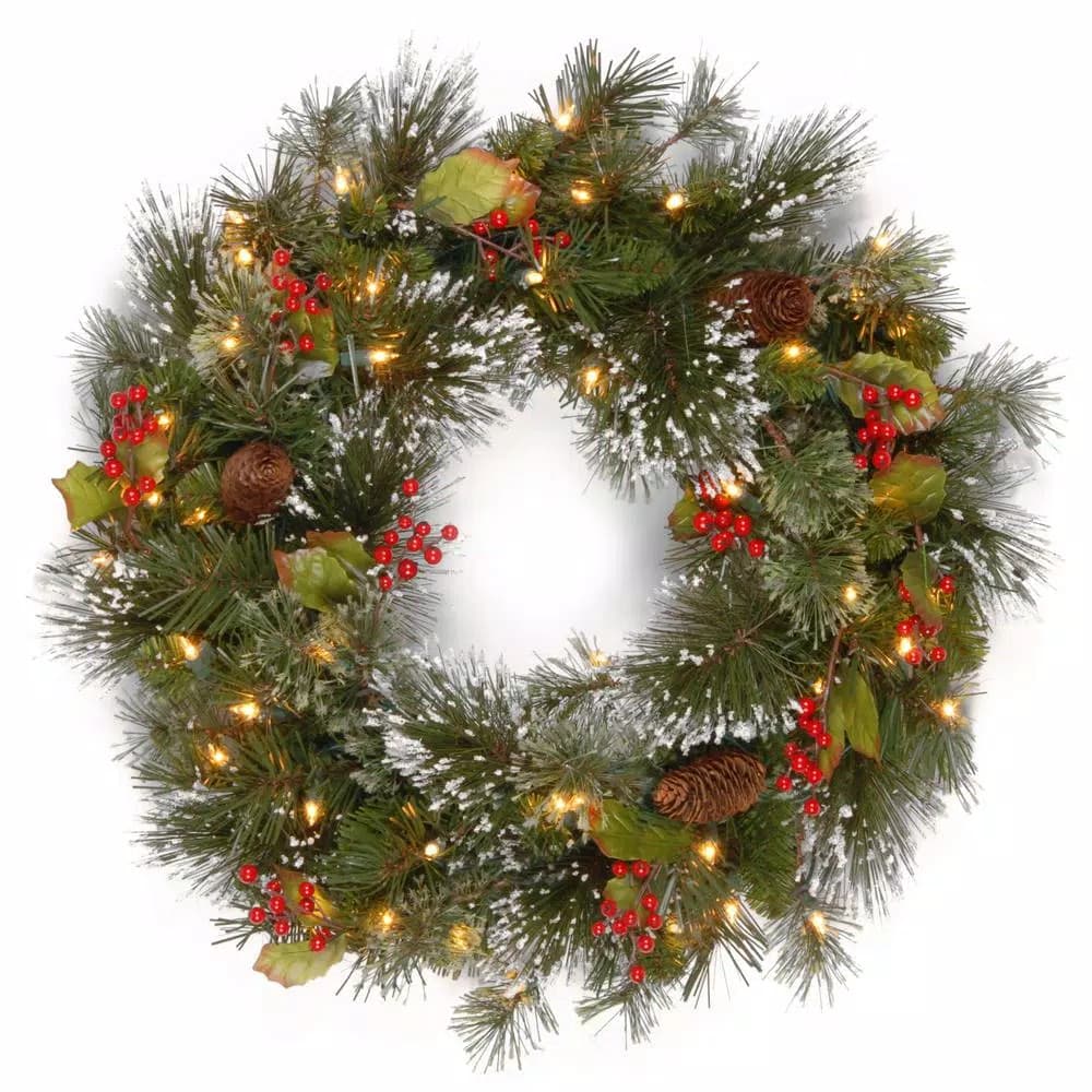 National Tree Company 24 in. Wintry Pine Artificial Wreath with 50 Clear Lights, Red Berries, and Pine Cones