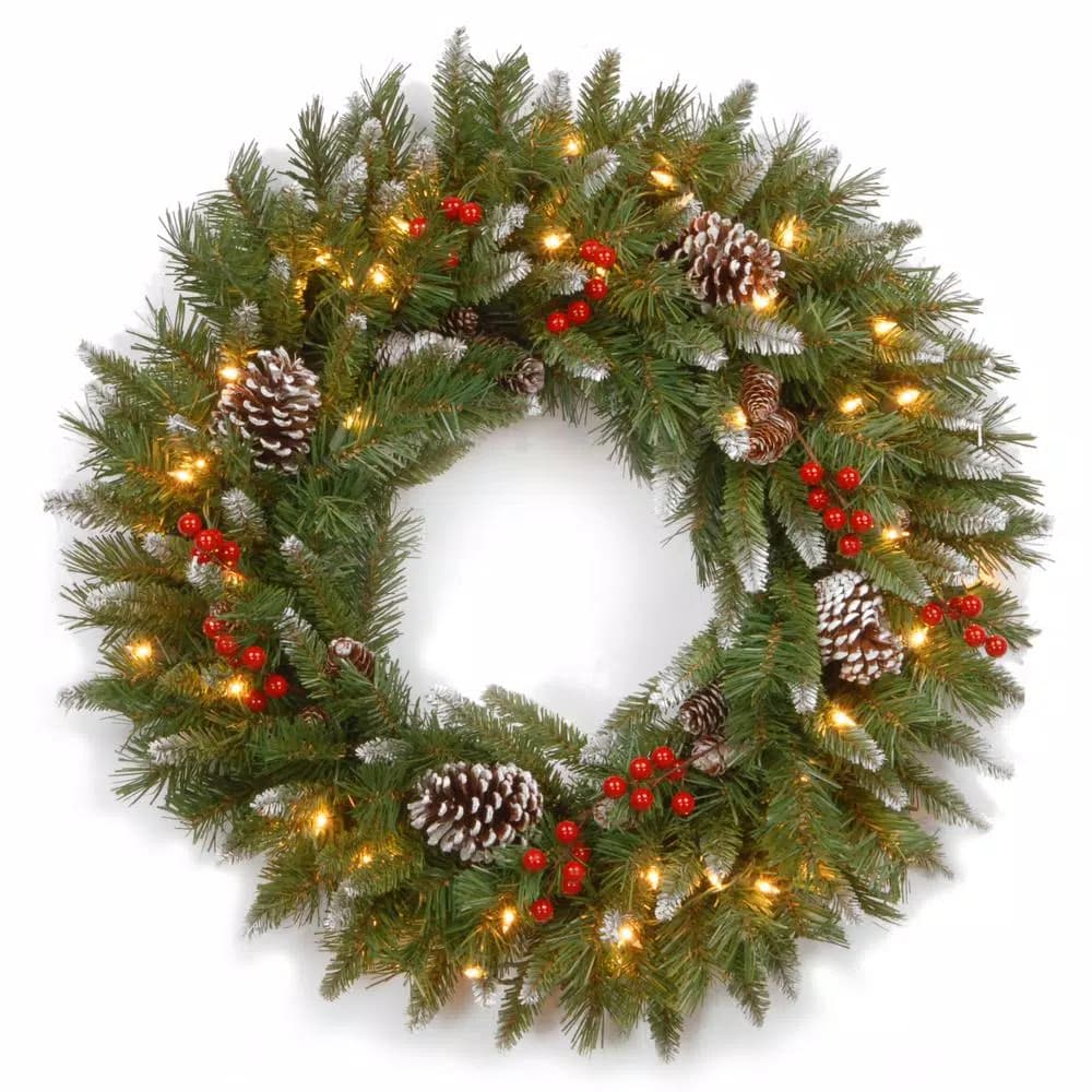 National Tree Company Frosted Berry 24 in. Artificial Christmas Wreath with 50 Clear Lights