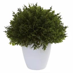 Nearly Natural Mixed Cedar Topiary Collection, Set of 3 with Ceramic Planters thumbnail 2