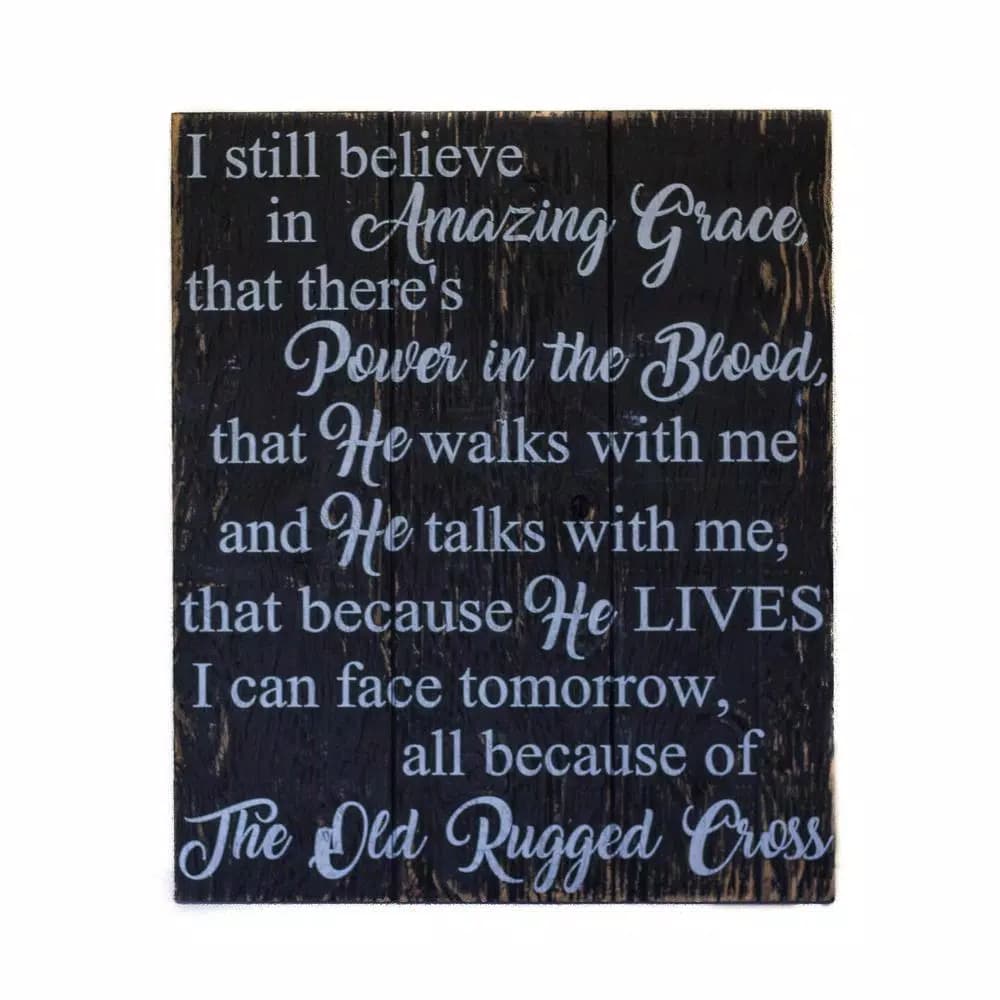 Unbranded Boulder Innovations "I Still Believe In Amazing Grace" 16 x 19 in. Printed Wood Wall Art Sign