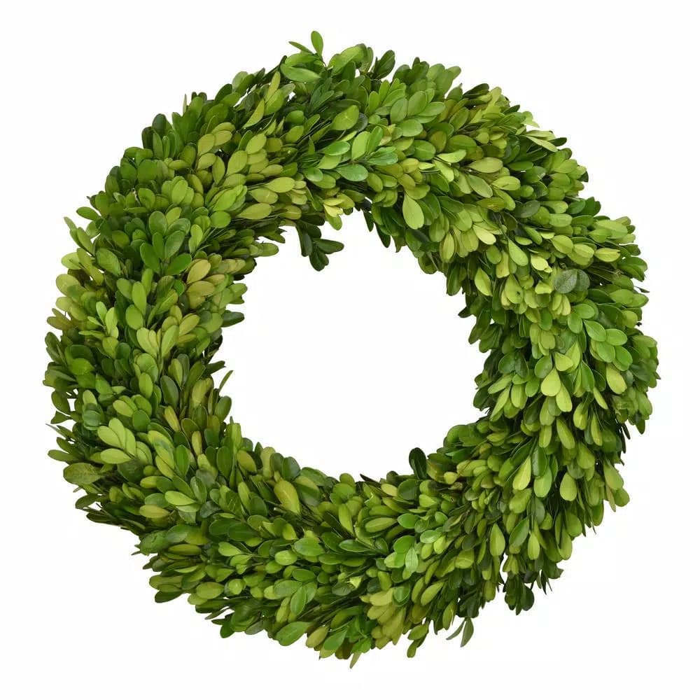 Unbranded Boxwood Country Manor 14 in. Preserved Boxwood Wreath - Green Farmhouse Decor