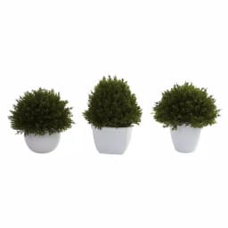 Nearly Natural Mixed Cedar Topiary Collection, Set of 3 with Ceramic Planters thumbnail 4
