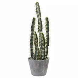 Nearly Natural Decorative Tall Cactus Collection with Modern Cement Planter and White River Rocks thumbnail 1