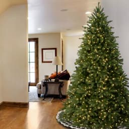 National Tree Company 9 ft. Jersey Fraser Fir Artificial Christmas Tree with 1500 Clear Lights thumbnail 3