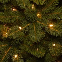 National Tree Company 9 ft. Downswept Douglas Pencil Slim Artificial Christmas Tree with 500 Dual Color LED Lights thumbnail 3