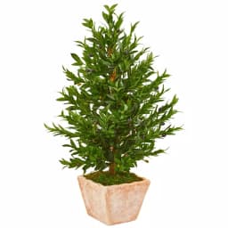 Nearly Natural 35-In. Artificial Olive Cone Topiary Tree in Terra Cotta Planter, UV-Resistant Indoor/Outdoor Decor thumbnail 1