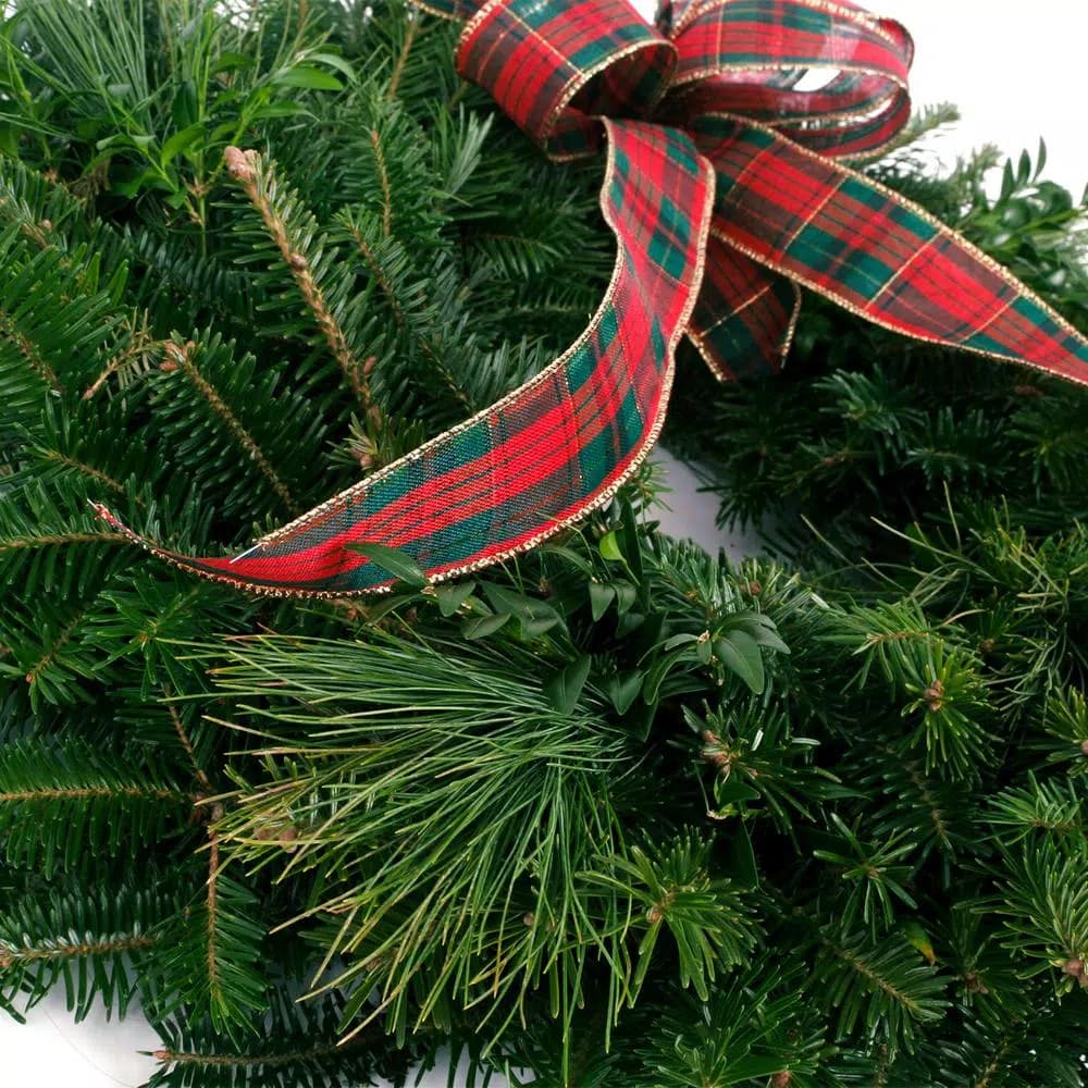 VAN ZYVERDEN 16 in. Live Fresh Cut Blue Ridge Mountain Mixed Evergreen Christmas Wreath with Red Bow