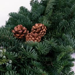 VAN ZYVERDEN 4 ft. Fresh Cut Pacific Northwest Evergreen Garland with Noble Fir, Juniper, and Cedar thumbnail 4