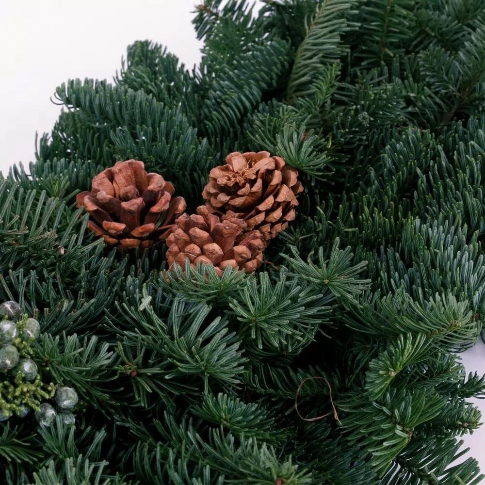 VAN ZYVERDEN 4 ft. Fresh Cut Pacific Northwest Evergreen Garland with Noble Fir, Juniper, and Cedar