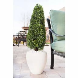 Nearly Natural 41" UV Resistant Artificial Boxwood Topiary in Textured White Planter thumbnail 2