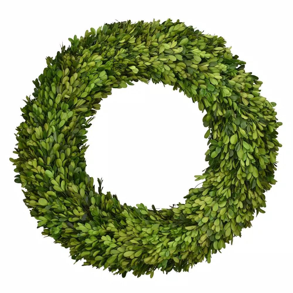 Unbranded 20 in. Preserved Boxwood Country Manor Round Wreath, Green
