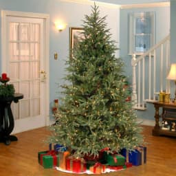 National Tree Company 7 ft. Feel Real Frasier Grande Hinged Artificial Christmas Tree with 850 Dual Color LED Lights thumbnail 3
