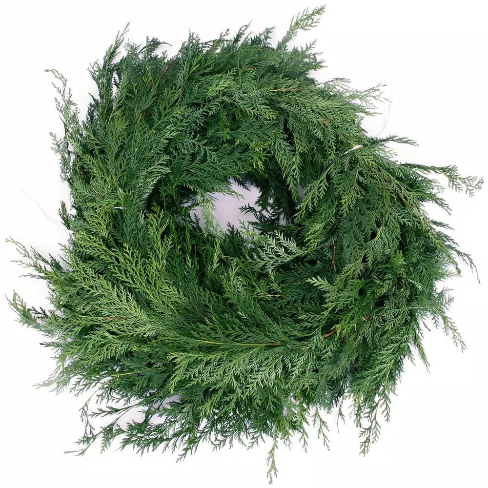 VAN ZYVERDEN 25 ft. Live Fresh Cut Pacific Northwest Western Red Cedar Mix Coil Garland