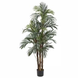 Nearly Natural 5 ft. Robellini Palm Artificial Silk Tree - Indoor Tropical Greenery thumbnail 1
