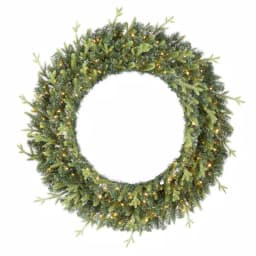 Home Accents Holiday 48 in. Jackson Noble Fir Artificial Wreath with 200 Warm White LED Micro Dot Lights thumbnail 1