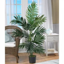 Nearly Natural 4 ft. Kentia Palm Silk Tree - Artificial Green Tropical Palm Plant thumbnail 2