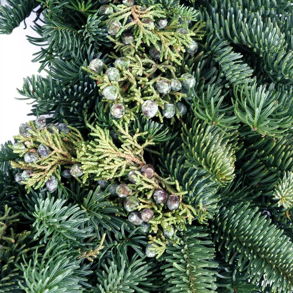 VAN ZYVERDEN 20 in. Fresh Cut Pacific Northwest Juniper and Noble Fir Christmas Wreath