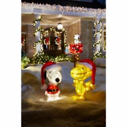 Unbranded Brite Star Professional Series 100-Light Clear Mini String Lights with Green Wire (Set of 2) thumbnail 8