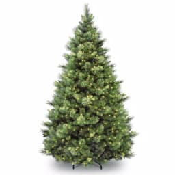 National Tree Company 7 ft. Carolina Pine Artificial Christmas Tree with 700 Clear Lights and Flocked Pine Cones thumbnail 1