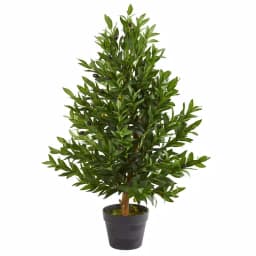 Nearly Natural 35 in. Artificial Olive Cone Topiary Tree with UV-Resistant Green Foliage, Indoor/Outdoor thumbnail 1