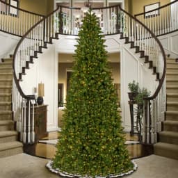 National Tree Company 14 ft. Ridgewood Spruce Slim Artificial Christmas Tree with 1300 Clear Lights thumbnail 2