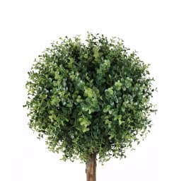 Northlight 55.5 in. Potted 2-Tone Artificial Boxwood Double Ball Topiary Tree thumbnail 2