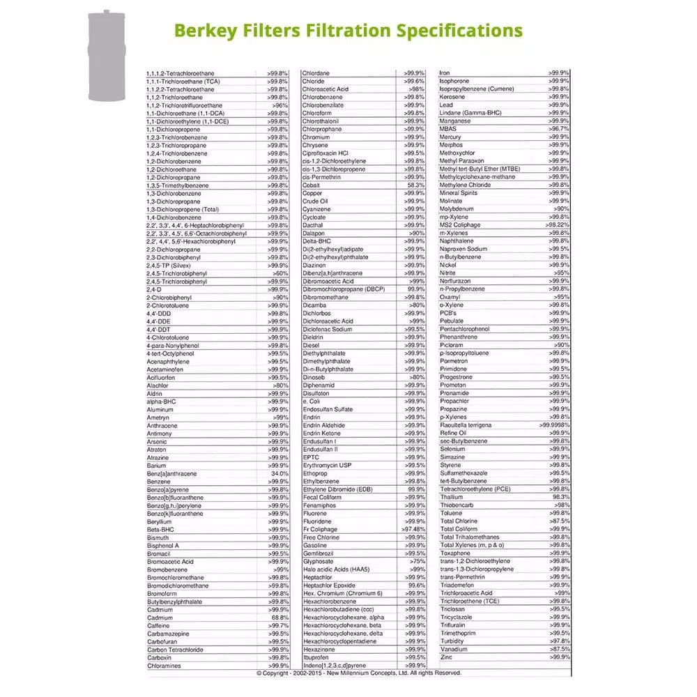 Berkey Black Water Filter Replacement Elements - Set of 2