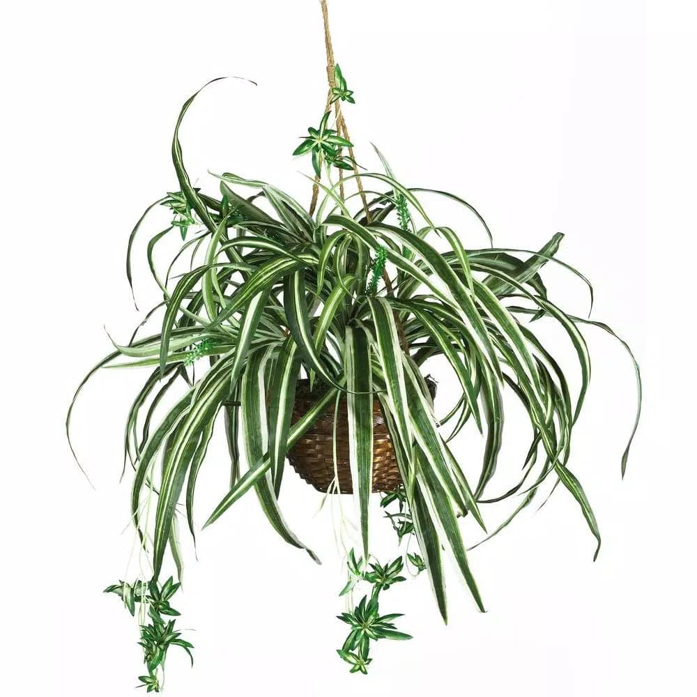 Nearly Natural 27 in. Silk Spider Plant in Wicker Hanging Basket