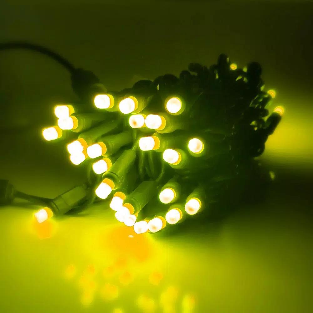 HOLIDYNAMICS HOLIDAY LIGHTING SOLUTIONS 50-Light RGB LED String Lights, 5 mm Frosted Bulbs, 4 in. Spacing, Green Cord