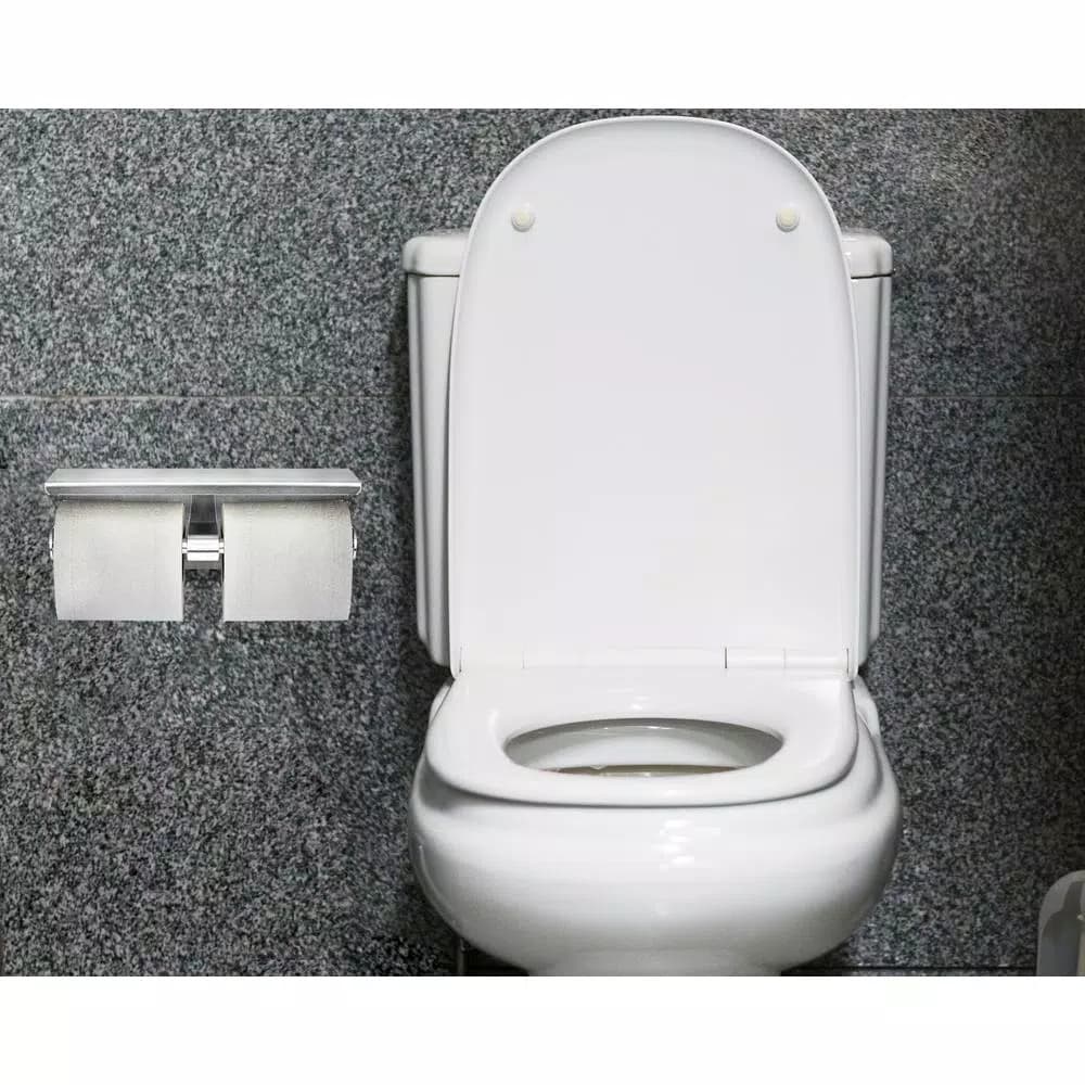 Alpine Industries Double Post Toilet Paper Holder with Storage Shelf, Brushed Stainless Steel