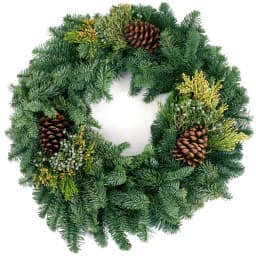 VAN ZYVERDEN 20 in. Live Fresh Cut Pacific Northwest Mixed Christmas Wreath with Pine Cones thumbnail 2