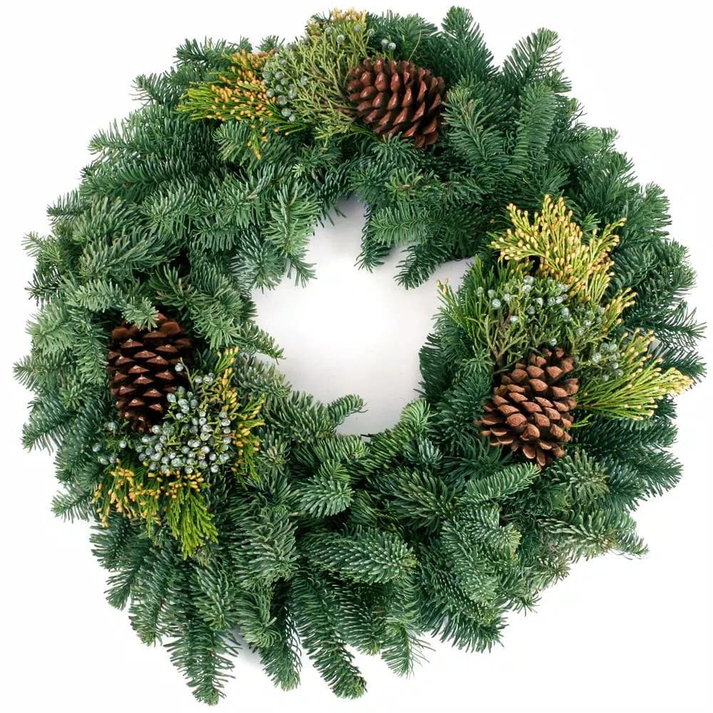 VAN ZYVERDEN 20 in. Live Fresh Cut Pacific Northwest Mixed Christmas Wreath with Pine Cones